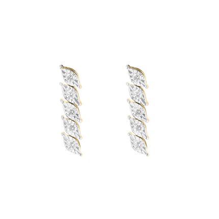 Stunning Dangler Earrings
