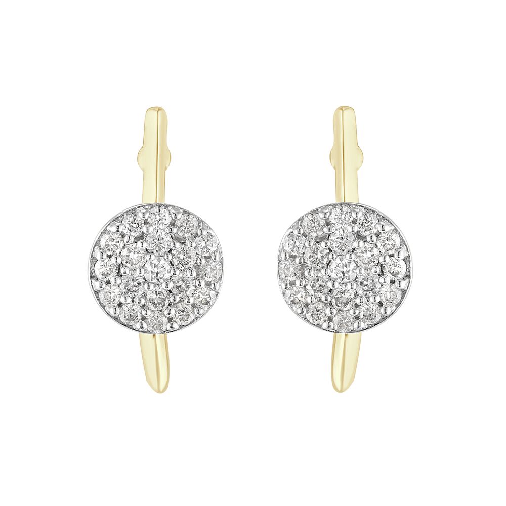Alluring Yellow Gold and Diamond Earrings-Earrings-OER23I24-D400R0C