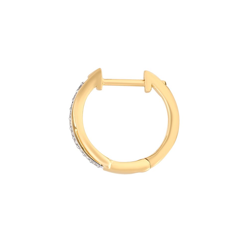 Exquisite 14Kt Yellow Gold Hoop Earrings-Earrings-OER24I57-D900R0C